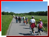 Caritas Archidiecezji Krakowskiej